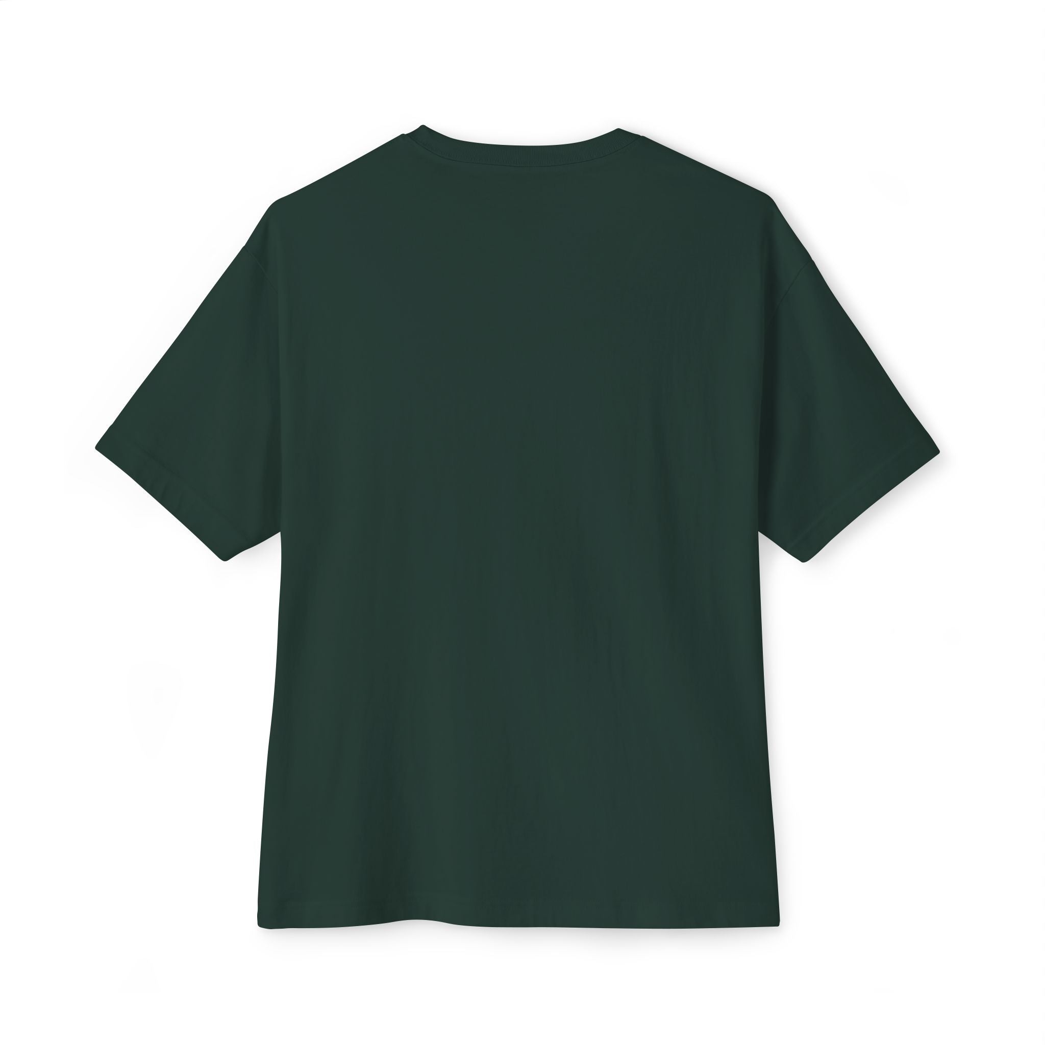 I DON'T HAVE ANY MONEY - Unisex Oversized Boxy Tee