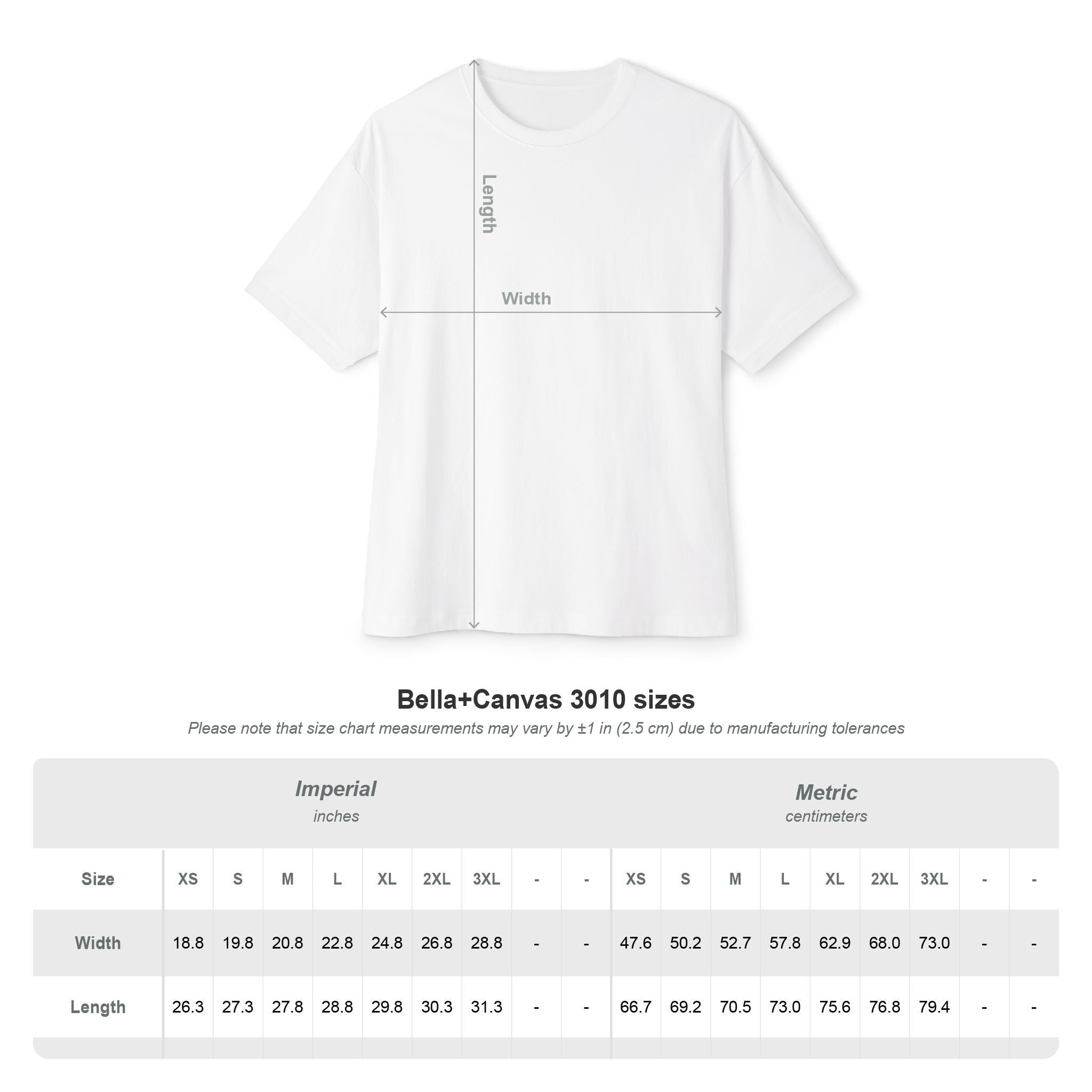 I DON'T HAVE ANY MONEY - Unisex Oversized Boxy Tee